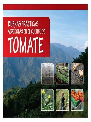 cover image of Buenas prácticas agrícolas en el cultivo de tomate